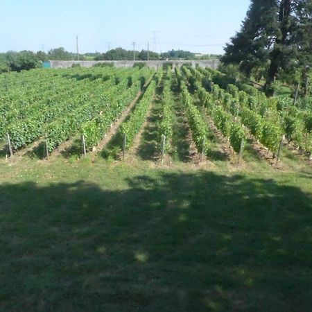 Au Clos De L'Epinay Vouvray Eksteriør billede