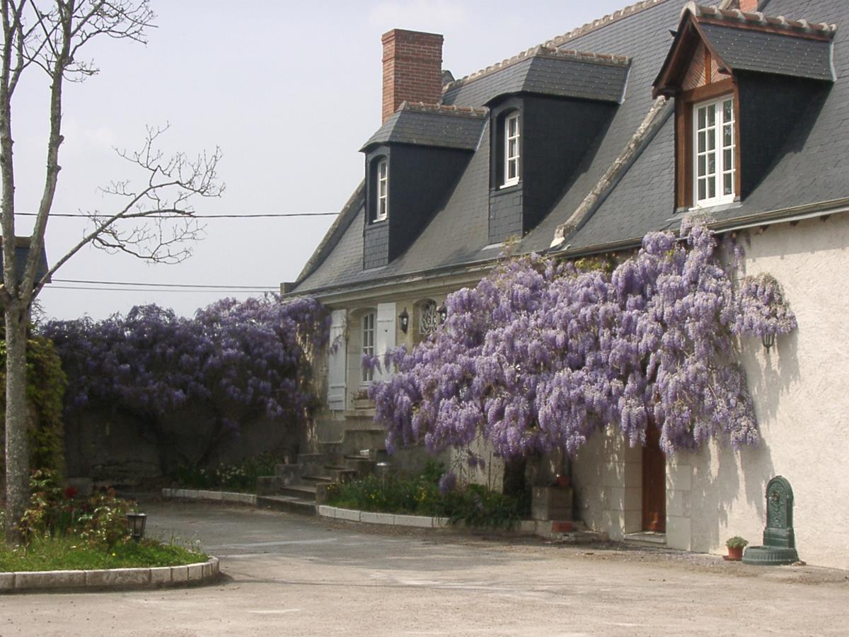 Au Clos De L'Epinay Vouvray Eksteriør billede
