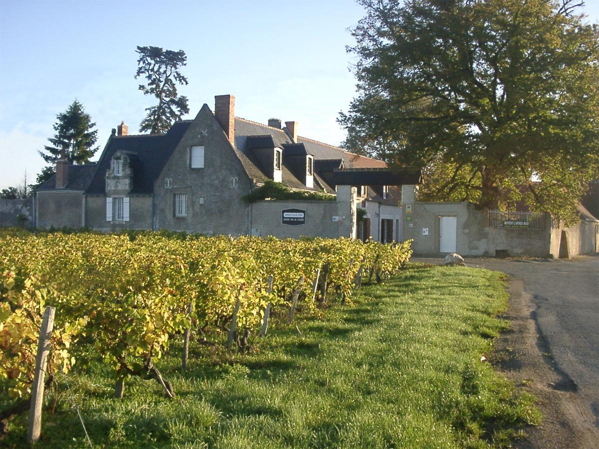Au Clos De L'Epinay Vouvray Eksteriør billede