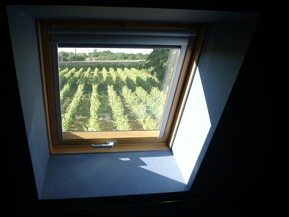 Au Clos De L'Epinay Vouvray Eksteriør billede