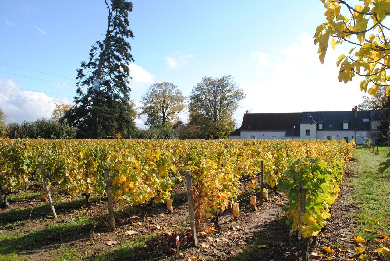 Au Clos De L'Epinay Vouvray Eksteriør billede
